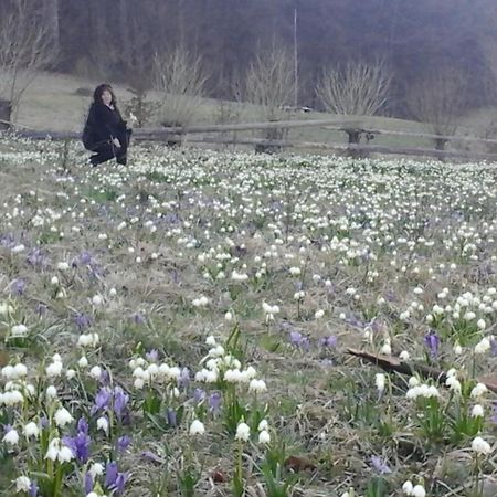 Садиба Під Гострою Zhdeniievo Dış mekan fotoğraf