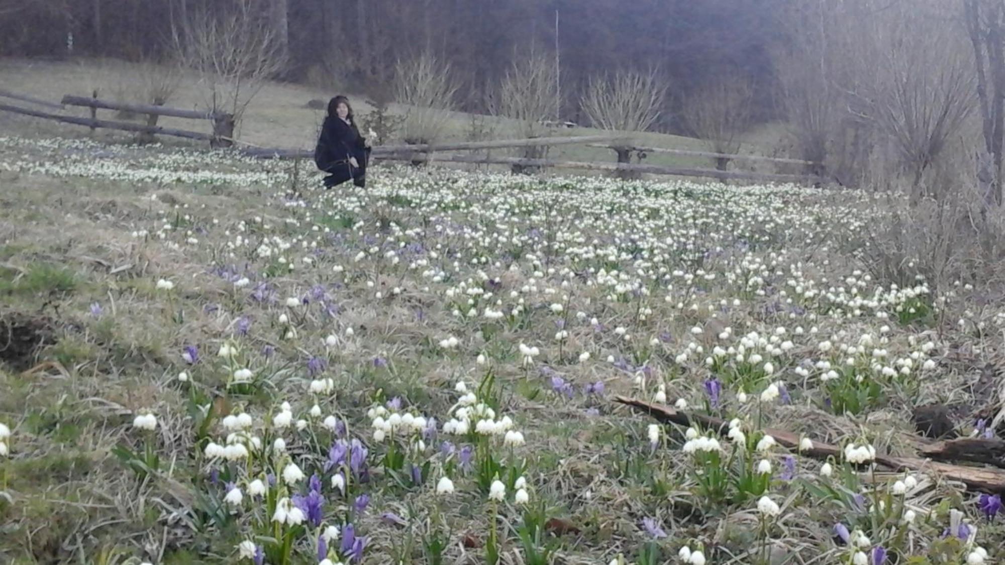 Садиба Під Гострою Zhdeniievo Dış mekan fotoğraf
