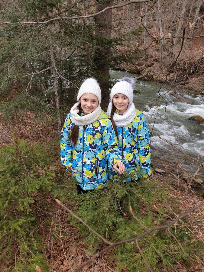 Садиба Під Гострою Zhdeniievo Dış mekan fotoğraf